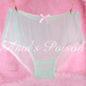 Anias Poison Sheer vintage style Antron Nylon seafoam brief sissy panties